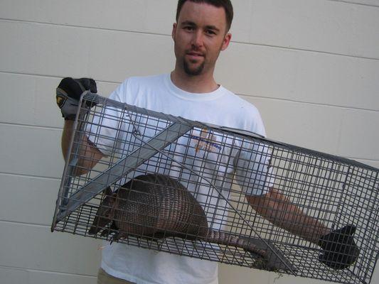 Folsom Wildlife Removal