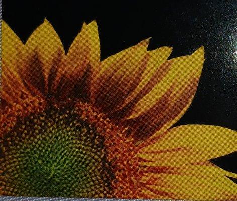 Happy Helper Housecare