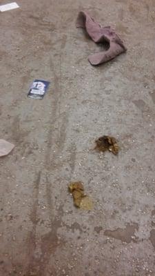 Here's our laundry room! Note the footprint on the dried doggie doo! Betcha that person had something else to wash after that.