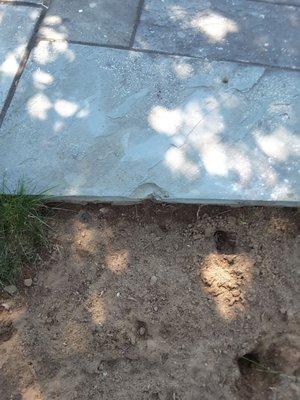 Ipswich Bay Tree Serv