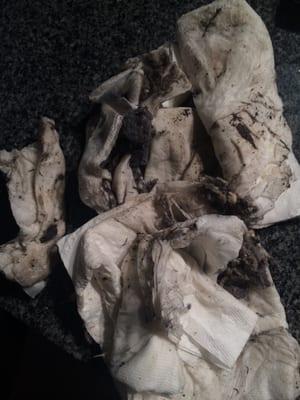 Half of the crud I cleaned out of my dryer, which is also stained blue. Unacceptable.