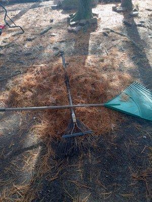 Michael's Snow and Leaf Removal