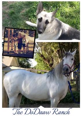 The DoDaaw Ranch
