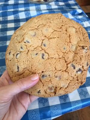 Chocolate chip cookie was bigger than my hand. It was the size of a salad plate and yummy too!
