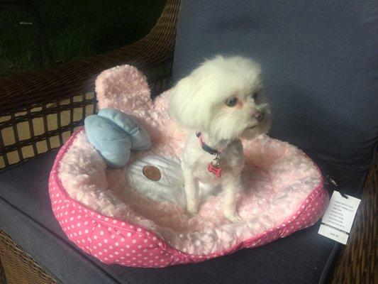 Maya is soooo HAPPY!!!