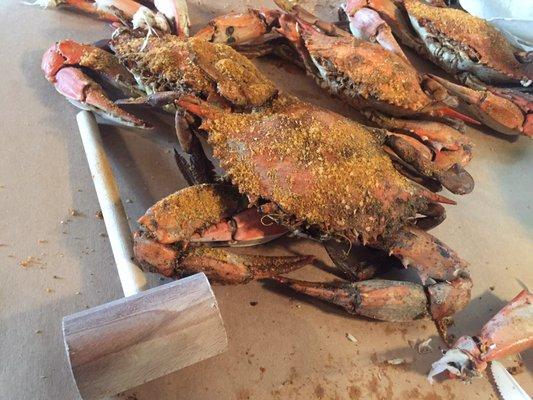 Fresh Maryland crab