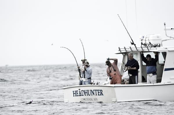 Headhunter Fishing Charters