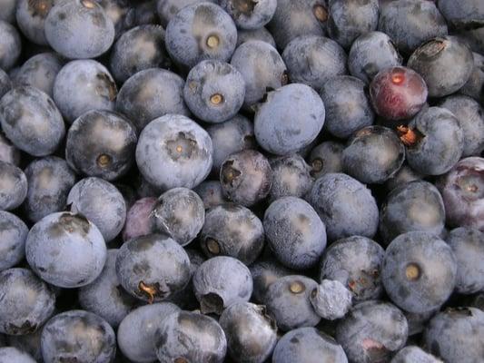 Get your blueberry on!