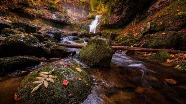 Cedarcreek Covenant Church