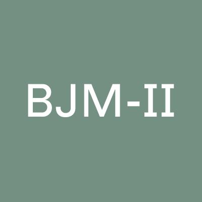 B. Joseph Majors II, Attorney at law