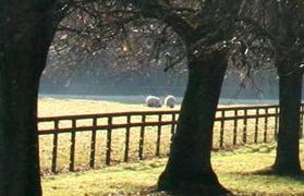 Robert Stone, Realtors