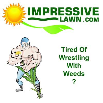 Impressive Lawn Care