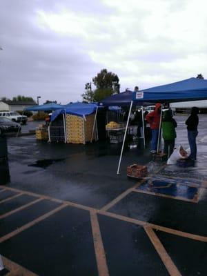 Washington Elementary School District No 6