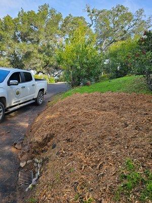 Calioax Tree Service