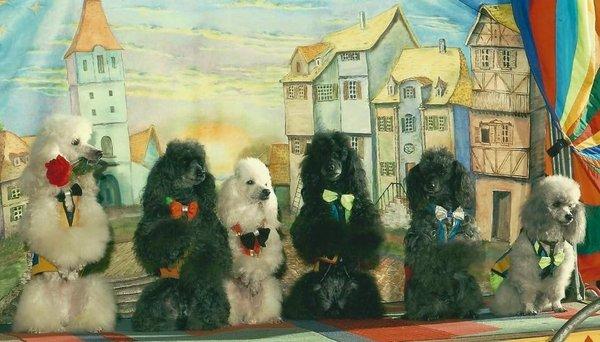 Menestrelli Entertainment