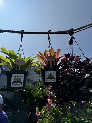 Callahan Gardens