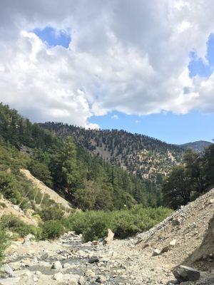 Mount Baldy Aquatics