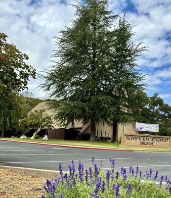 Discover Life Seventh-day Adventist Church