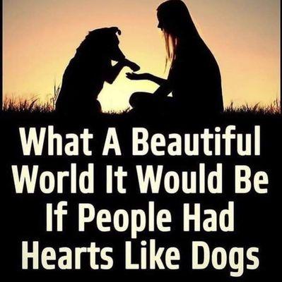 Loving Pet Sitting in My Home