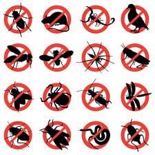 Pest Prescription, Inc.