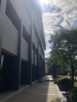 Views from outside the office