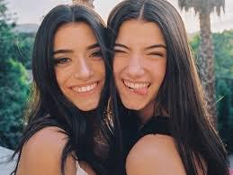 charlie d'amelio and dixe d'amlio