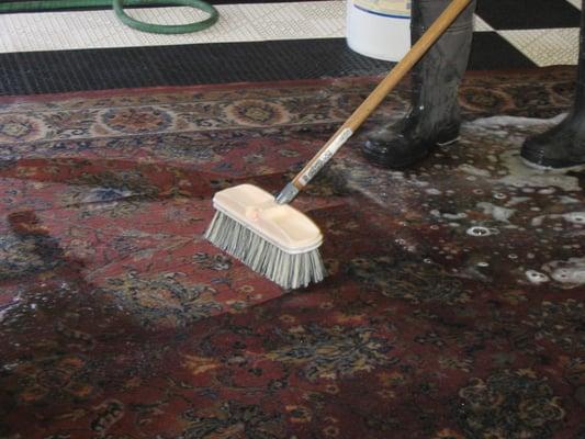 Hand washing fine rugs using mild shampoo's and cool water