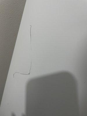 Medium size of brand new fridge.