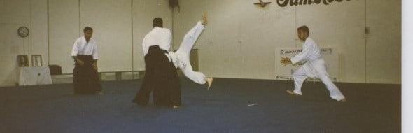 Aikakai International - Aikido classes for all ages, all shapes, all sizes