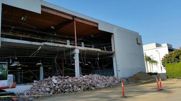 Affordable Services Tree & Landscape