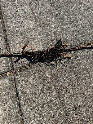 Tow rope--one of many "knots"