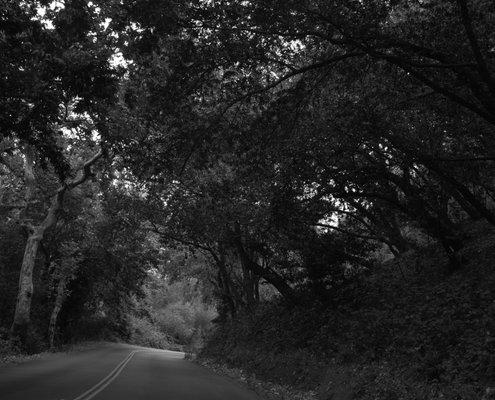 Flipflop Photography