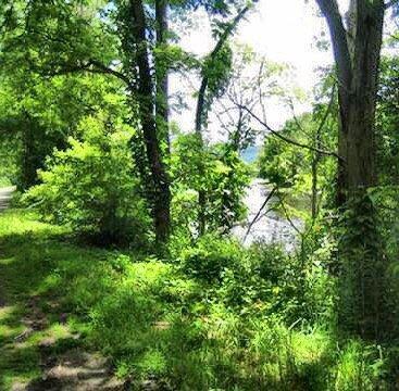 Old River Road Trail