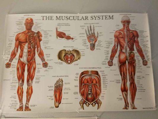 Just a pic of the exterior