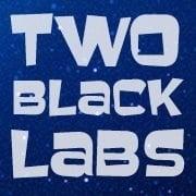 Two Black Labs Web Development