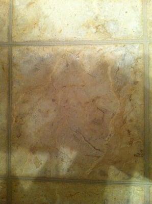 Design Build Solutions, Inc