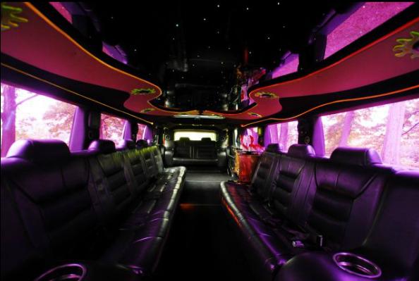 14 Passenger Hummer Interior