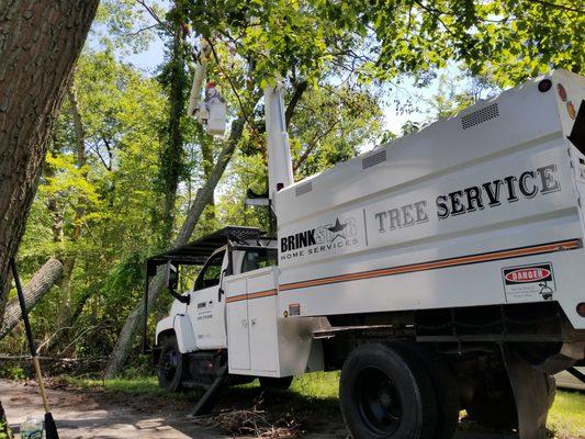 BrinkStar Tree Service