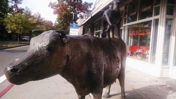 Cow & Coyote Bronze Sculpture