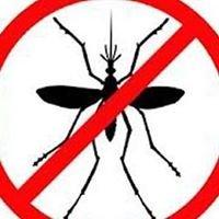 Mosquito Hawk Pest Control