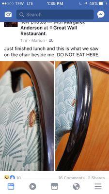 This is disgust and it should be shut down