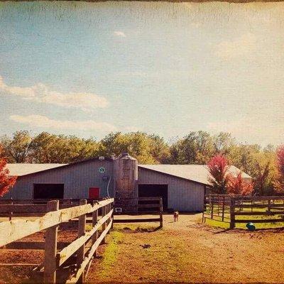 Scott Golladay Stables