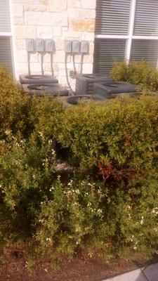 air conditioning units by window