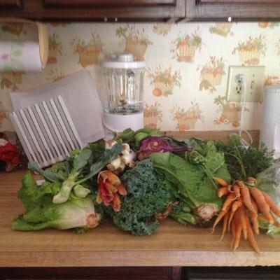 So many veggies!!!