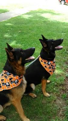 Chief and Candy with matching UT bananas.