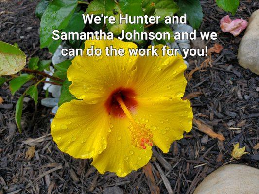 Johnsons at Your Service