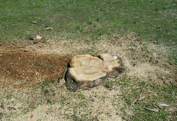 Yard Pro - Oak Ridge