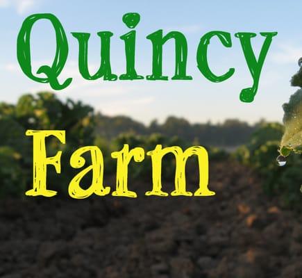 Quincy Farm