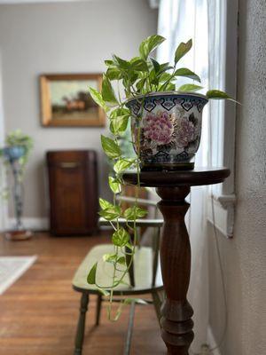 Antiques throughout the home