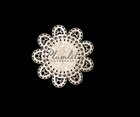 Plumlily Photography